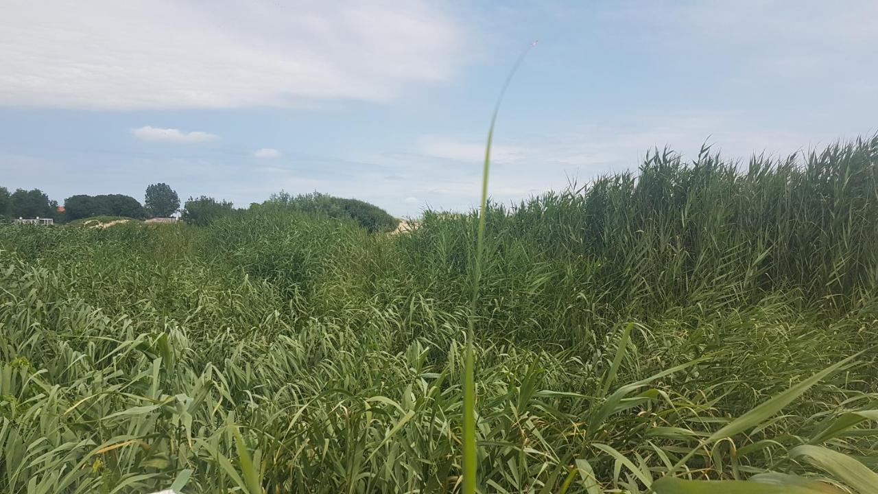 Студио Морски Бряг-Лозенец Exterior foto